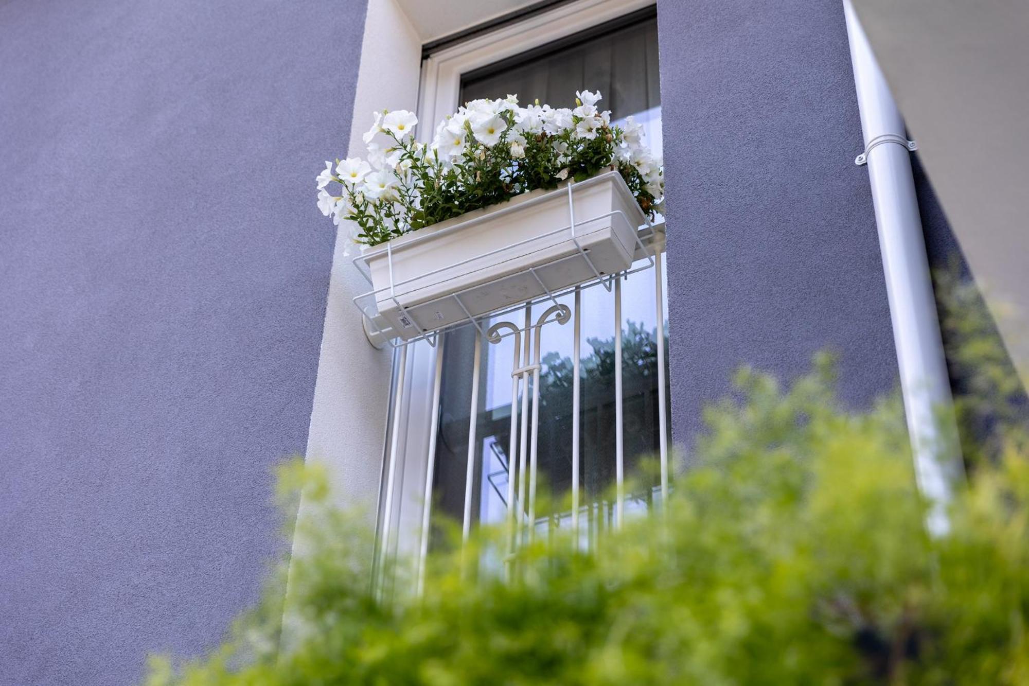 צ'סנטיקו Villa Monti Suites&Aparts מראה חיצוני תמונה