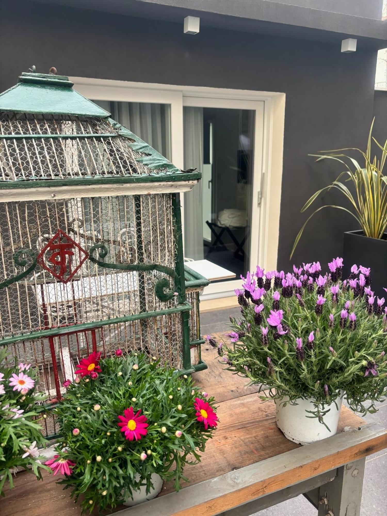 צ'סנטיקו Villa Monti Suites&Aparts מראה חיצוני תמונה